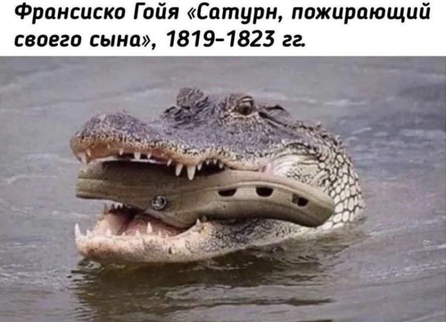 Лучшие шутки и мемы из Сети - 18.12.2025