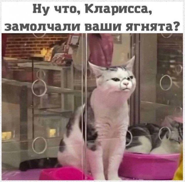 Лучшие шутки и мемы из Сети - 18.12.2025