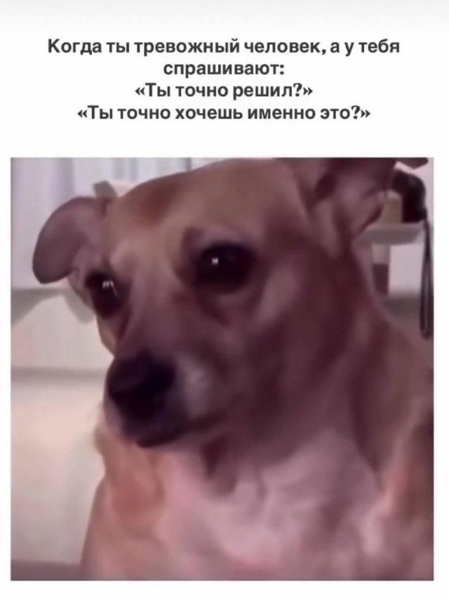 Лучшие шутки и мемы из Сети - 18.12.2025