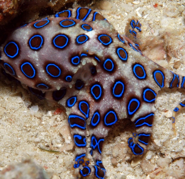 Британец едва не умер