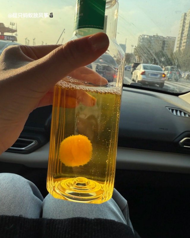 Китайцы начали заводить чайную плесень в качестве домашних питомцев