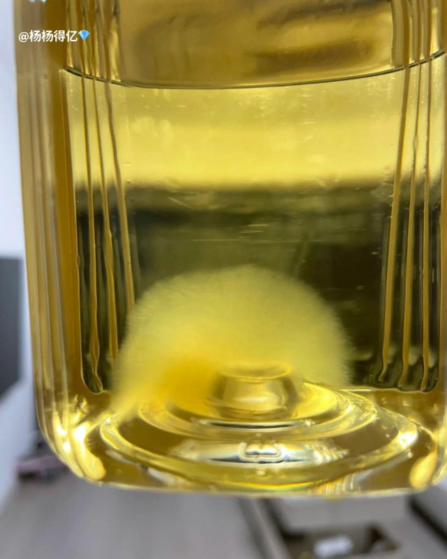 Китайцы начали заводить чайную плесень в качестве домашних питомцев