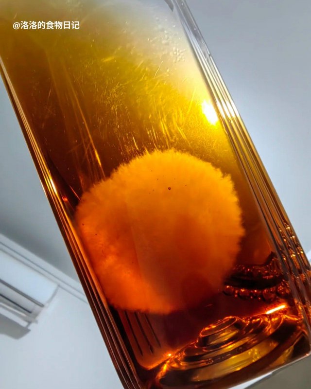 Китайцы начали заводить чайную плесень в качестве домашних питомцев