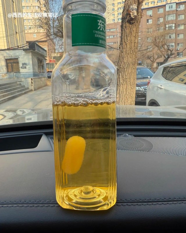 Китайцы начали заводить чайную плесень в качестве домашних питомцев