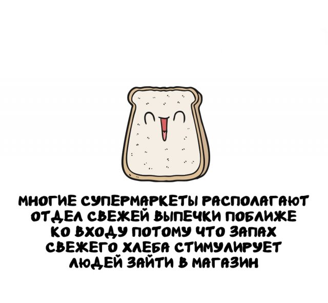 Интересные факты на все случаи жизни