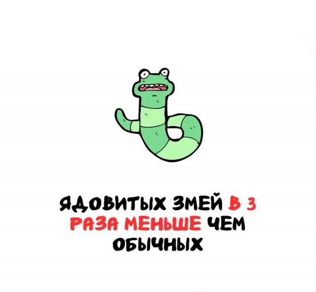 Интересные факты на все случаи жизни