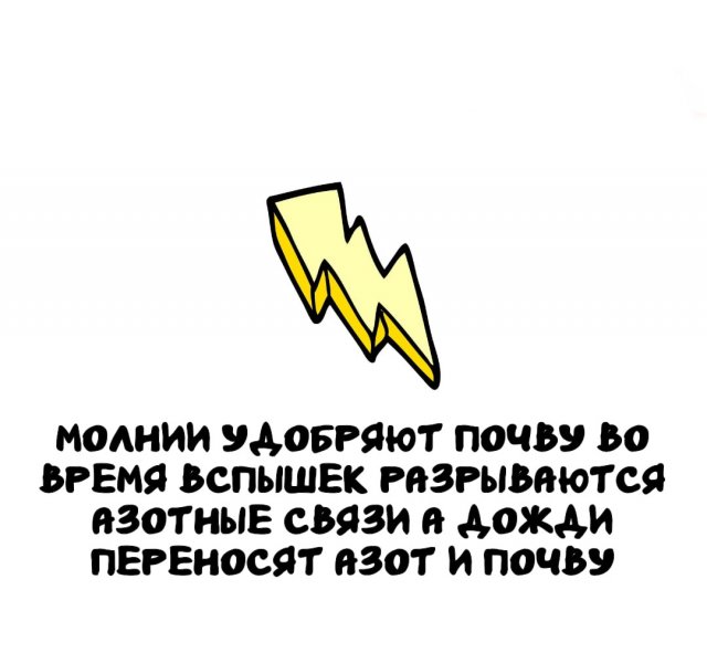 Интересные факты на все случаи жизни