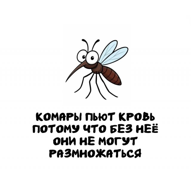 Интересные факты на все случаи жизни