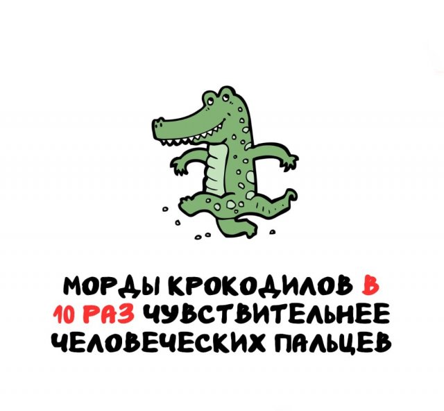 Интересные факты на все случаи жизни