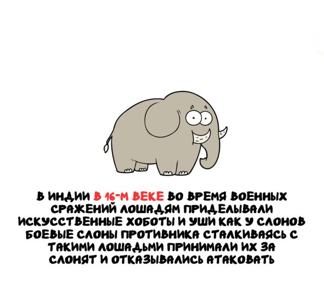 Интересные факты на все случаи жизни