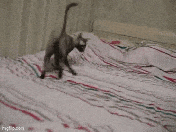 ГИФКИ! БОЛЬШЕ ГИФОК!