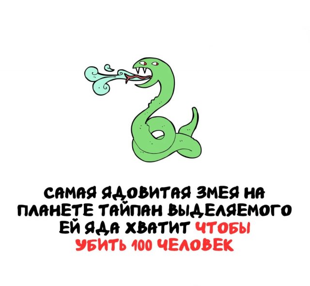 Интересные факты на все случаи жизни