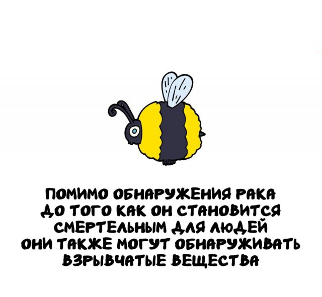 Интересные факты на все случаи жизни