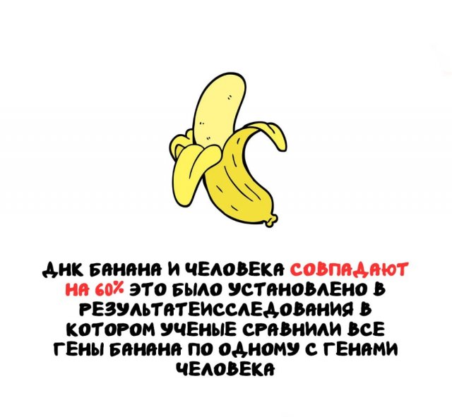 Интересные факты на все случаи жизни