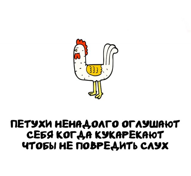 Интересные факты на все случаи жизни