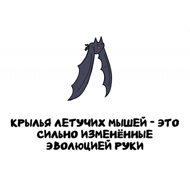 Интересные факты на все случаи жизни