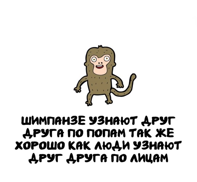 Интересные факты на все случаи жизни