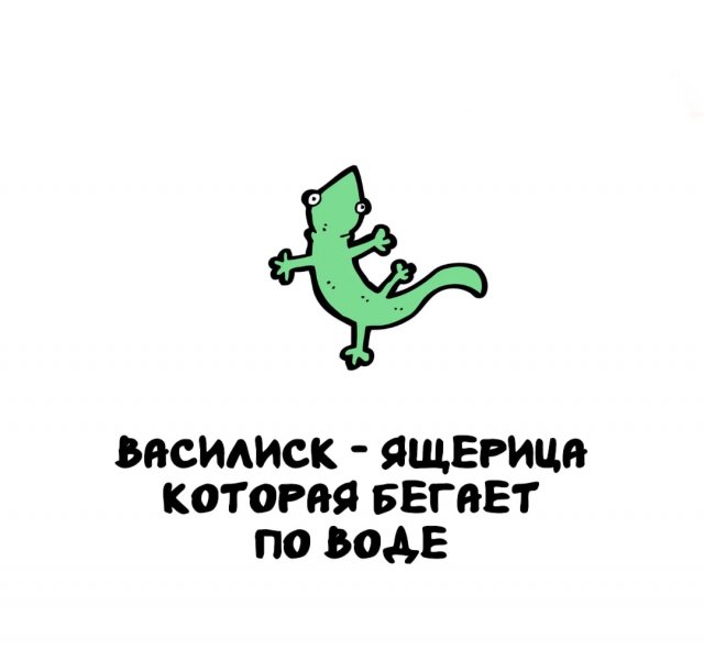 Интересные факты на все случаи жизни