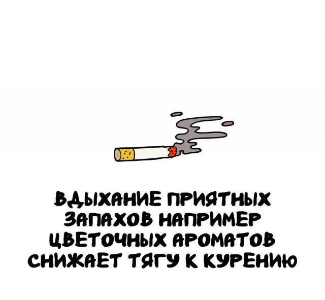 Интересные факты на все случаи жизни