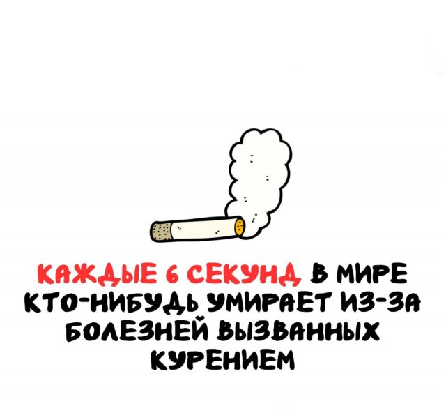 Интересные факты на все случаи жизни