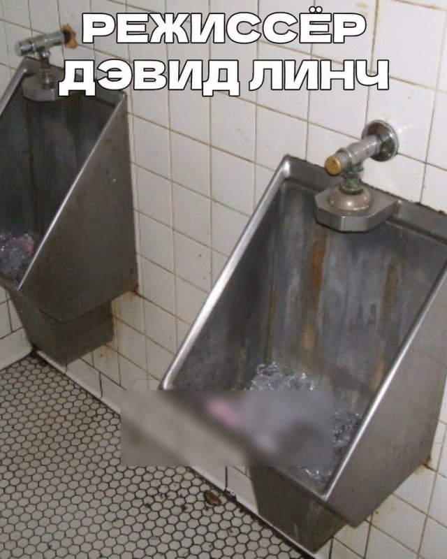 Угадай знаменитого режиссера по унитазу