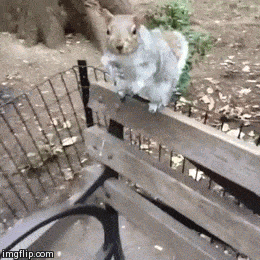 Подборка гифок -  22.12.2025