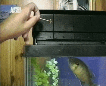 Подборка гифок -  22.12.2025