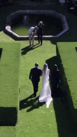 Подборка гифок -  22.12.2025