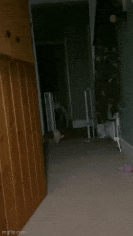 Подборка гифок -  22.12.2025