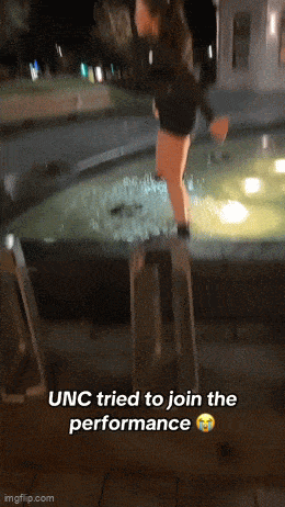 Подборка гифок -  22.12.2025