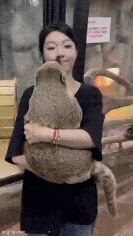 Подборка гифок -  22.12.2025