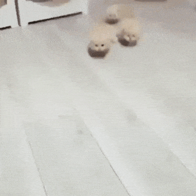 Подборка гифок -  22.12.2025