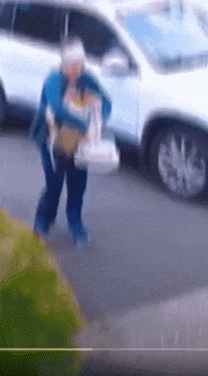 Подборка гифок -  22.12.2025