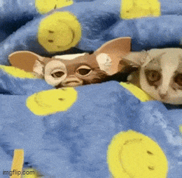 Подборка гифок -  22.12.2025