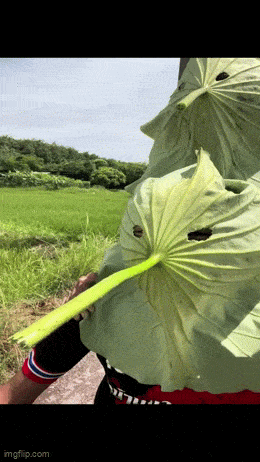 Подборка гифок -  22.12.2025