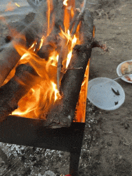 Подборка гифок -  22.12.2025