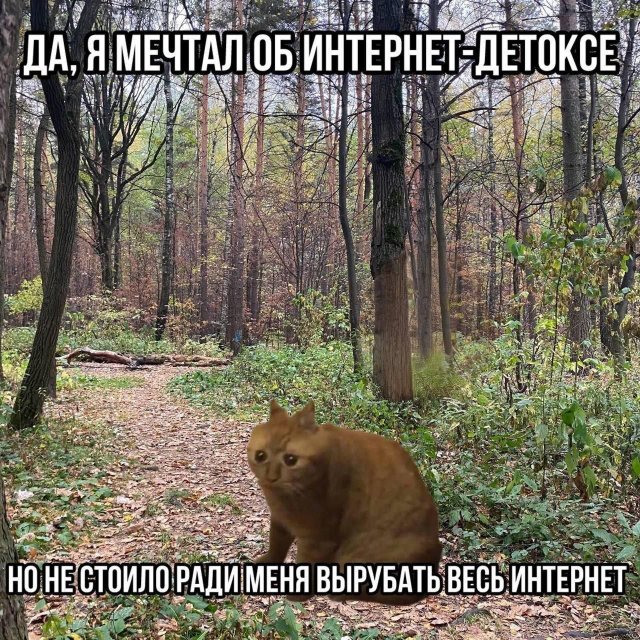 Лучшие шутки и мемы из Сети - 22.12.2025