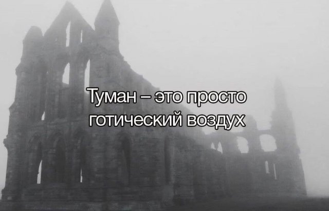 Лучшие шутки и мемы из Сети - 22.12.2025