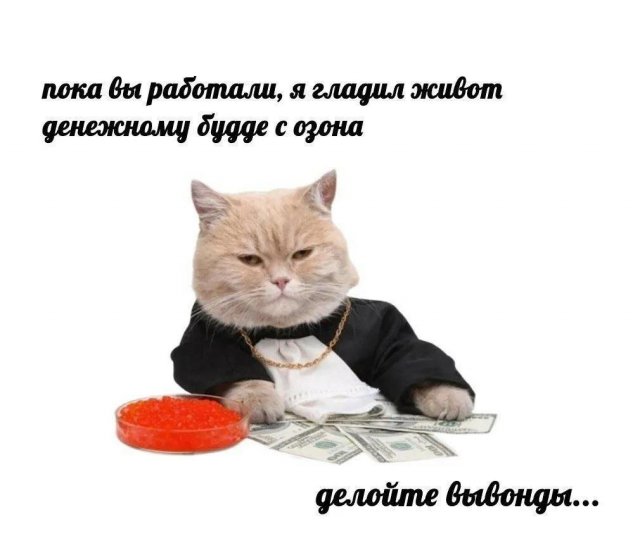 Лучшие шутки и мемы из Сети - 22.12.2025