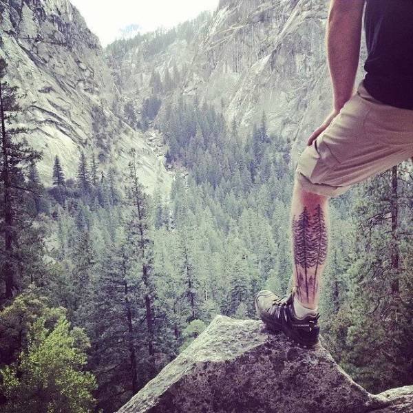 Подборка картинок. Вечерний выпуск - 22.12.2025