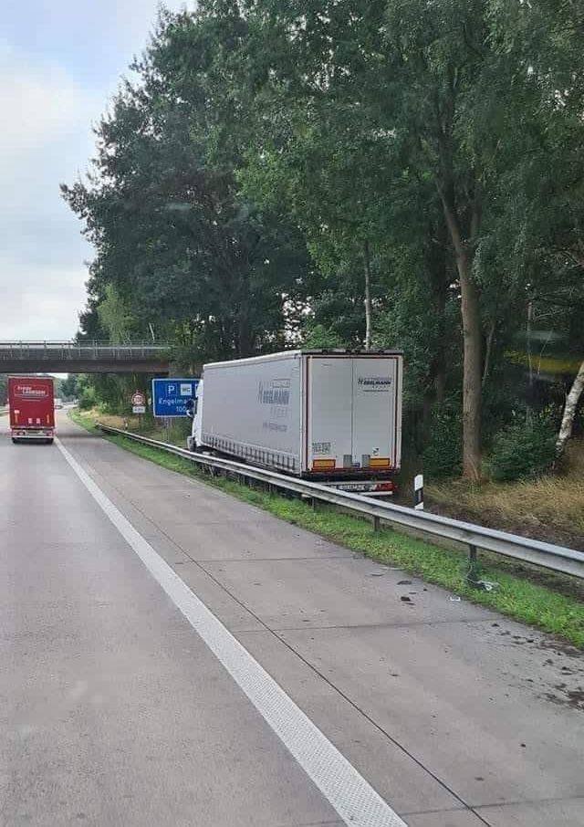 Подборка картинок. Вечерний выпуск - 22.12.2025