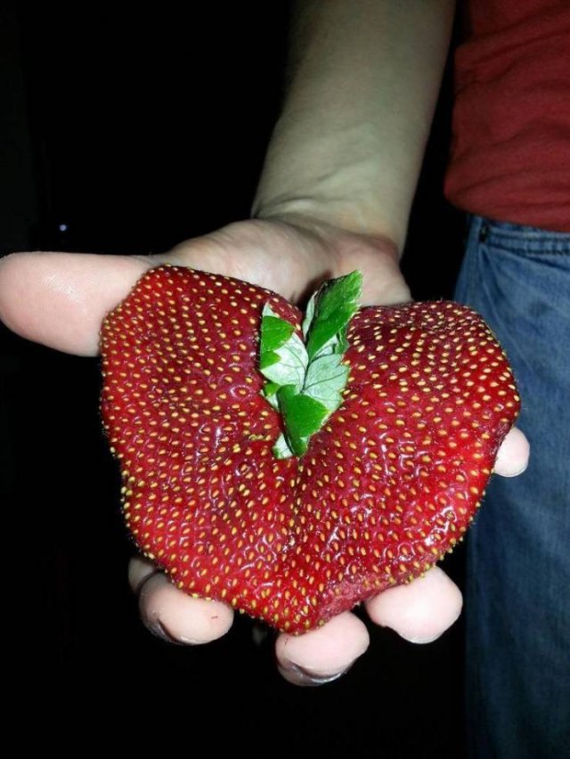 Подборка картинок. Вечерний выпуск - 22.12.2025