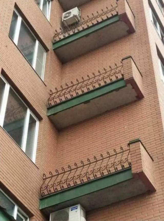 Подборка картинок. Вечерний выпуск - 22.12.2025