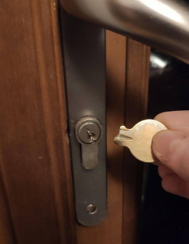 Подборка картинок. Вечерний выпуск - 22.12.2025