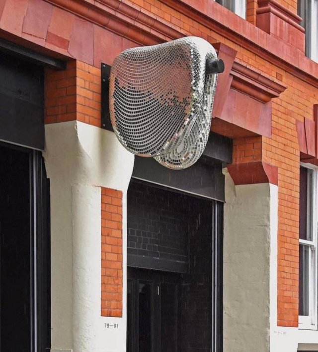 Подборка картинок. Вечерний выпуск - 22.12.2025