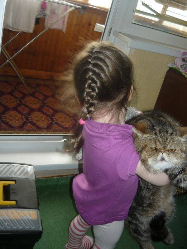 Подборка картинок. Вечерний выпуск - 22.12.2025