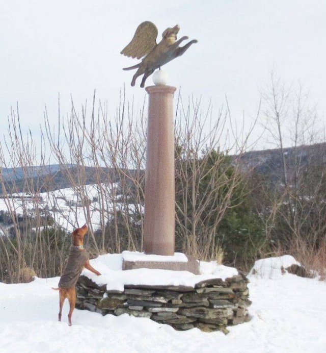 Подборка картинок. Вечерний выпуск - 22.12.2025