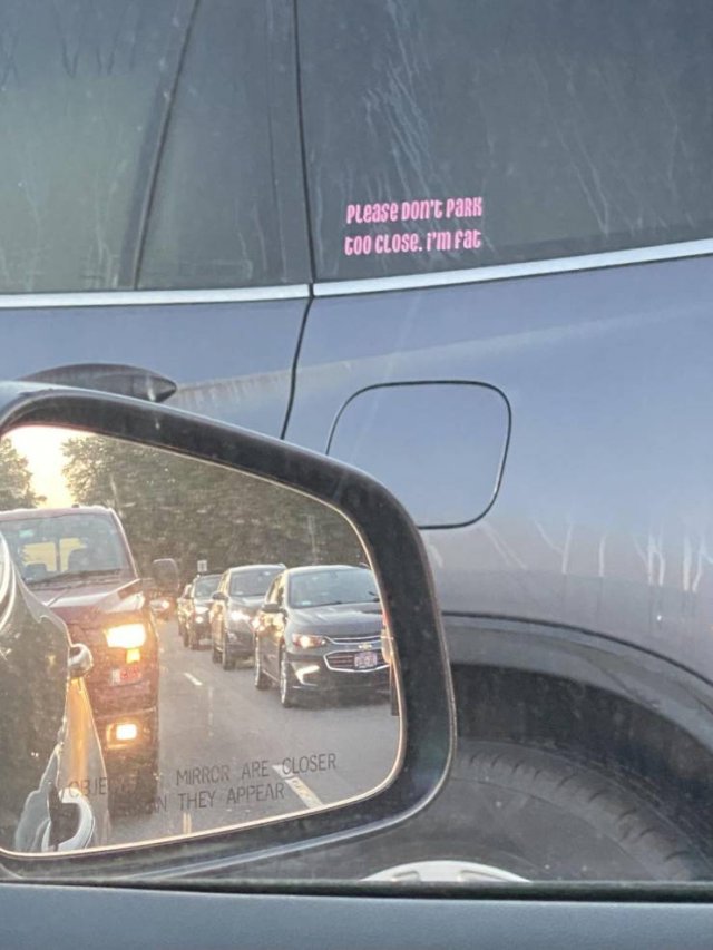 Подборка картинок. Вечерний выпуск - 22.12.2025