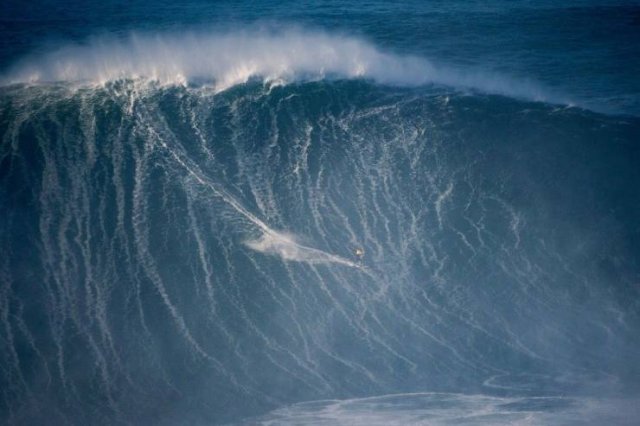 Подборка картинок. Вечерний выпуск - 22.12.2025