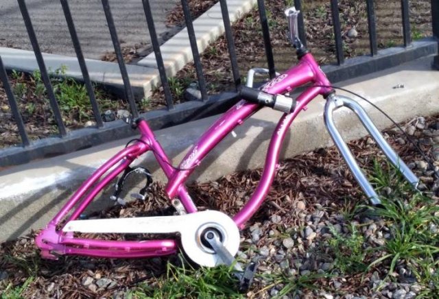 Подборка картинок. Вечерний выпуск - 22.12.2025